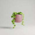 PottedPlant 3DRender Floating Stylized PinkPlanter Royalty Free Stock Photo
