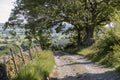 Potter Tarn lies east of Staveley