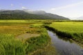 Potters marsh in Alaska