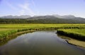 Potters marsh in Alaska