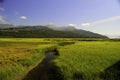 Potters marsh in Alaska