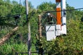 Potterville, MI - September 9, 2023: An arborist prunes trees close to power lines with a falling branch