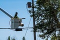 Potterville, MI - September 9, 2023: An arborist prunes trees close to power lines