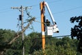Potterville, MI - September 9, 2023: An arborist prunes trees with using an undercut close to power lines.