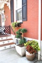 The flower pots are outside near the steps entering the house. Royalty Free Stock Photo