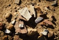 Pottery remains discovered in Chaco Canyon