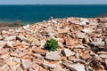 Pottery shards from excavations of an ancient city, archaeological site