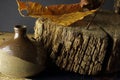 POTTERY VASE WITH WEDGE OF ROUGH WOOD AND DRY LEAVES