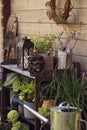 potting bench (gardener table) near rustic wooden shed with watering can Royalty Free Stock Photo