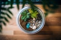 a potting soil in a plant terrarium shown from a high angle