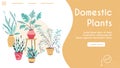 Potting trees, flowerpots hanging, plants in pots set isolated objects