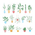 Potting trees, flowerpots hanging, plants in pots set isolated objects