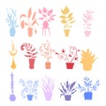 Potting trees, flowerpots hanging, plants in pots set isolated objects