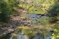 Peaceful Trout Stream