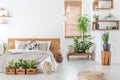 Pouf and plants in bright bedroom interior with pillows on bed with wooden headboard. Real photo