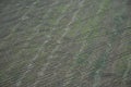 Poughed fields as viewed from the air_5 Royalty Free Stock Photo
