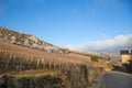 Pouilly and Solutre, Burgundy, France