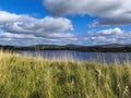 Poulaphouca Reservoir near Blessington