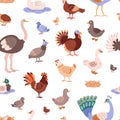 Poultry birds vector cartoon seamless pattern, different farm birds hen goose, duck, peacock, pheasant ostrich turkey