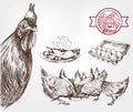 Poultry breeding