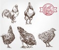 Poultry breeding