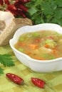 Poultry consomme soup with green Royalty Free Stock Photo