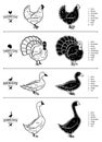 Poultry Cuts Diagrams