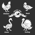 Poultry cuts poster. Chicken and duck, goose Royalty Free Stock Photo