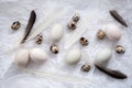 Poultry eggs flat lay still life with food stylish Royalty Free Stock Photo