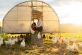 Poultry farm, black woman and chicken coop for sustainable farming outdoor on a field for meat, food and free range eggs