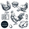 Poultry farm design elements. Hen, rooster and eggs on white background. Chicken hand drawn vector sketch illustration Royalty Free Stock Photo