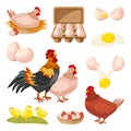 Poultry farm and fresh eggs. Hen, rooster, chicken design elements, isolated on white background. Vector illustration Royalty Free Stock Photo