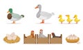 Poultry Farm With Hens, Ducks And Gooses. Eggs And Ducklings Vector Illustration Set Isolated On White Background Royalty Free Stock Photo