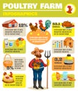 Poultry Farm Infographic Poster