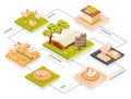 Poultry Farm Isometric Flowchart Royalty Free Stock Photo