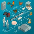 Poultry Farm Isometric Flowchart