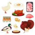 Poultry food products of turkey, duck and goose