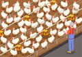 Poultry Isometric Background