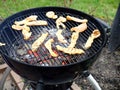 Poultry meat slices turkey on the charcoal round grill