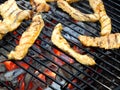 Poultry meat slices turkey on the charcoal round grill. Close-up