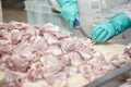 Poultry processing Royalty Free Stock Photo