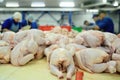 Poultry processing in food industry Royalty Free Stock Photo