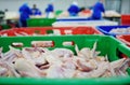 Poultry processing in food industry Royalty Free Stock Photo