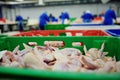 Poultry processing in food industry Royalty Free Stock Photo