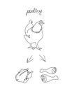 Poultry set continuous line drawing. One line art of chicken and semi-finished products, chicken drumsticks. Royalty Free Stock Photo