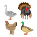 Poultry set