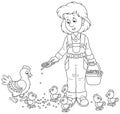 Poultry woman feeding chickens