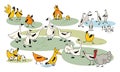 Poultry yard. A fun set of vector drawings. Chickens, roosters, chickens, geese, ducks, turkeys in cartoon style