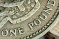 Pound coin detail