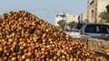 Pounds of chickpeas in high definition close-up